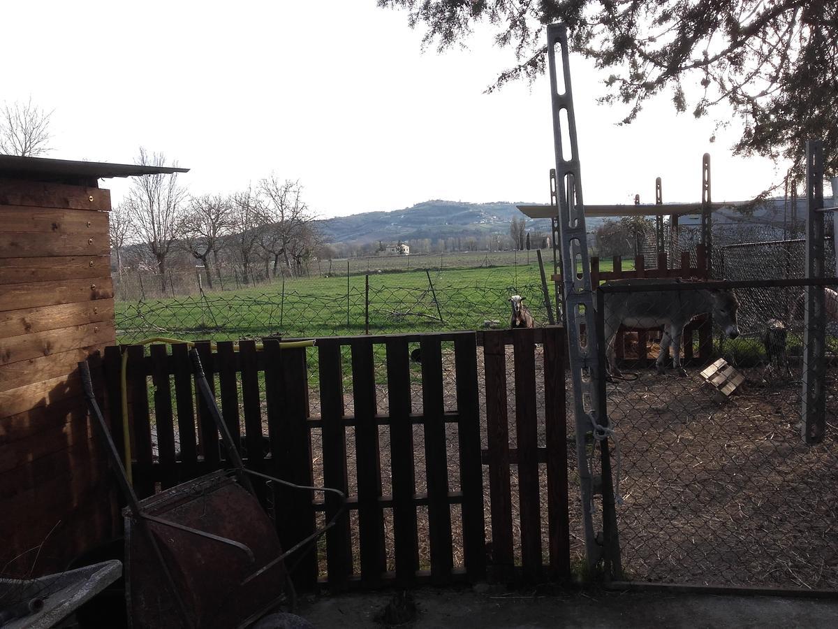 B&B La Quiete Фолиньо Екстериор снимка